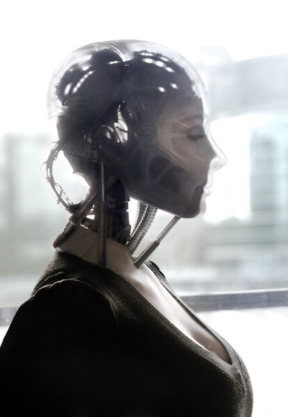 File:Robot s Wife by D4N13l3.jpg