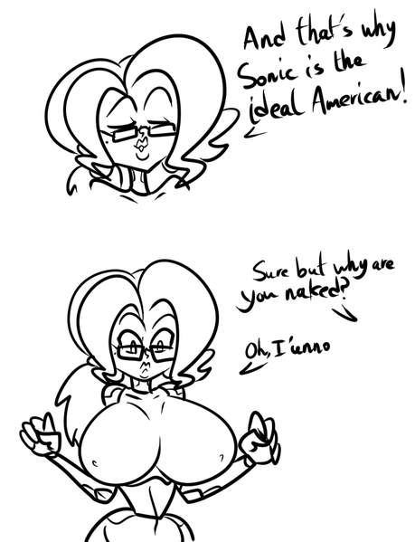 File:Sonic is the ideal american.png