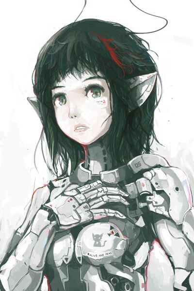 File:Robotgirl1.jpg