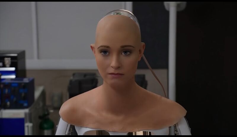File:Silicon Valley Fiona AI Robot 20.jpg