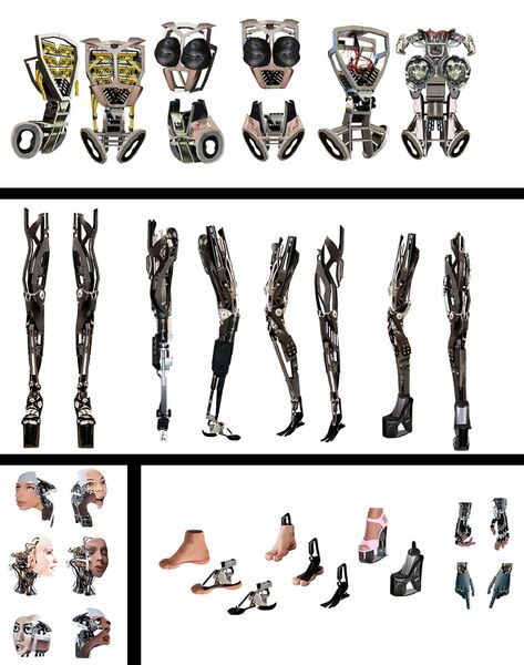 File:Fembot components and parts.jpg