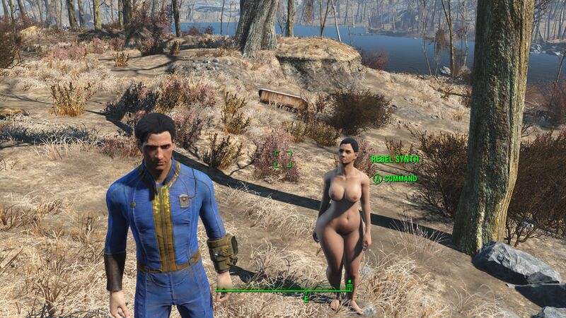 File:Fallout 4 20170126185837 1.jpg