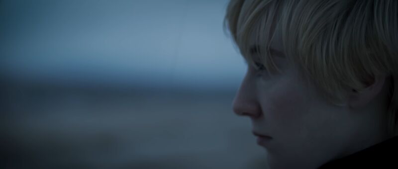 File:CALIBRATE 2.jpg