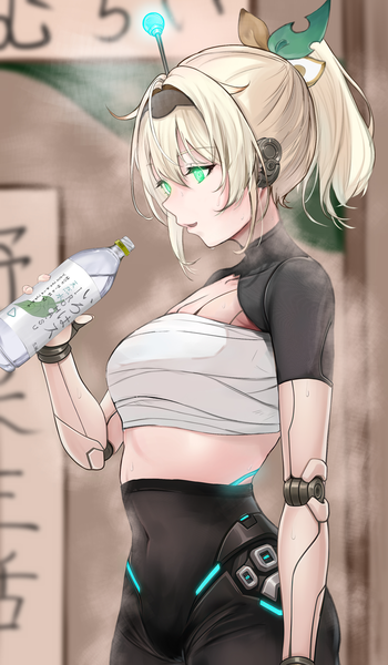 File:IroharoidTraining.png