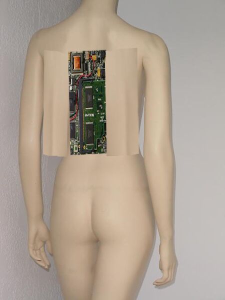 File:Botback copy.jpg