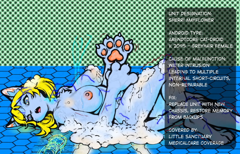 File:BrokenCatDroidTxt.png
