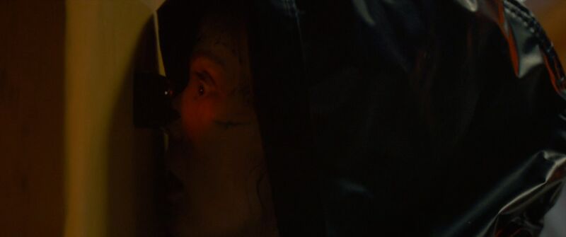 File:Predator - Badlands 75.jpg
